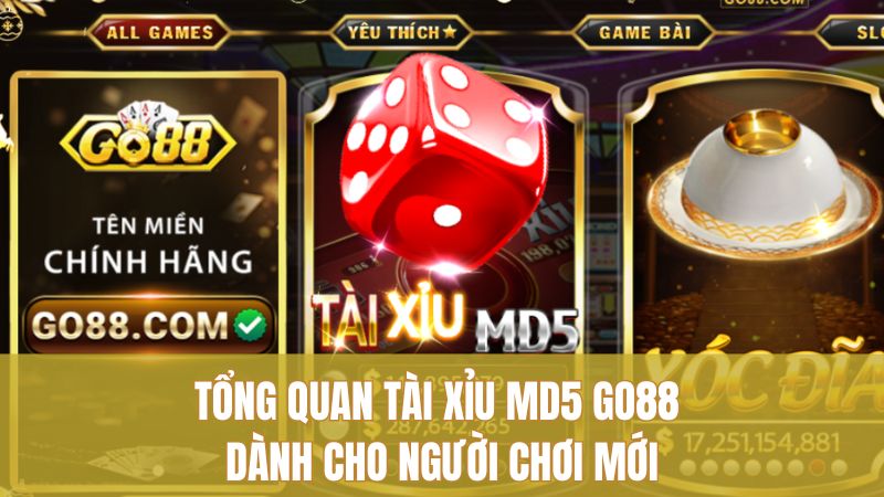 Tổng quan Tài Xỉu MD5 GO88 dành cho người chơi mới